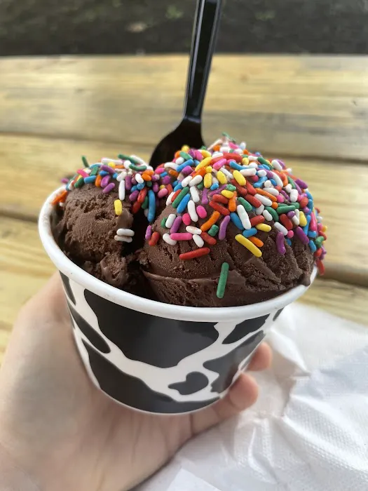 Molly V’s Homemade Ice Cream Picture 5