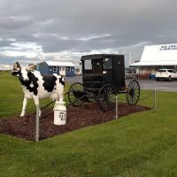 Mac's Dairy Bar Ice Cream ico