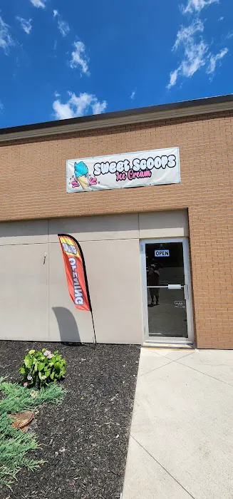 Sweet Scoops ice cream Picture 6