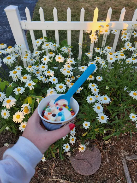 Abbott's Frozen Custard Picture 10