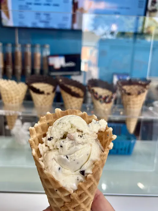 Scoop N Twist Picture 4