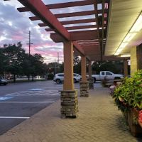 Abbott's Frozen Custard ico