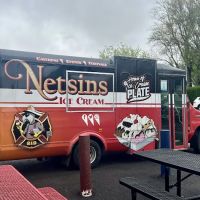 Netsins Ice Cream ico