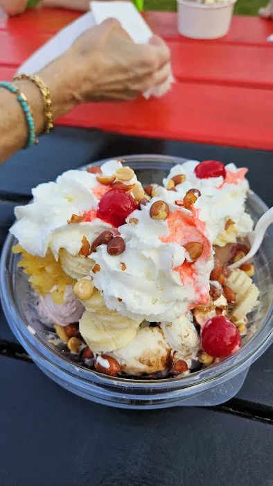 Netsins Ice Cream Picture 5