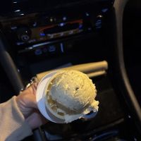 Roc City Ice Cream ico