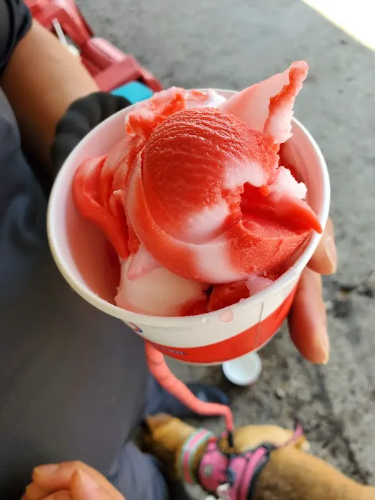 Roc City Ice Cream Picture 2