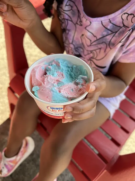 Roc City Ice Cream Picture 9