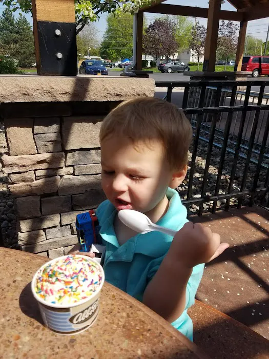 Abbott's Frozen Custard at Bill Gray's Picture 3