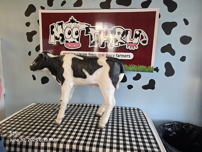 Moo Thru Lake Anna Picture 5