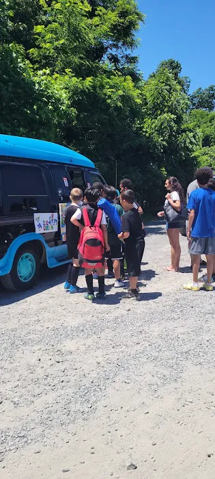 Icecream truck Rental for birthday parties Picture 6