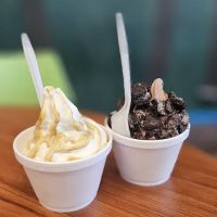 Frostie Moose Ice Cream ico