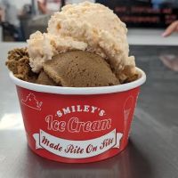 Smiley's Ice Cream ico