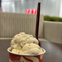 Haagen Dazs ico