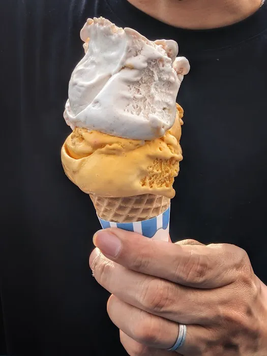 York Castle Ice Cream Picture 6
