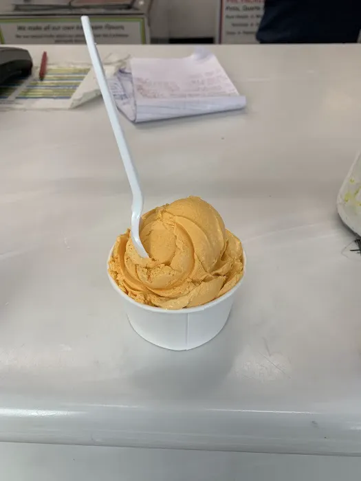 York Castle Ice Cream Picture 3