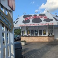 The Cow ico