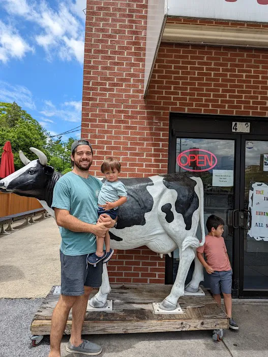 The Cow Picture 6