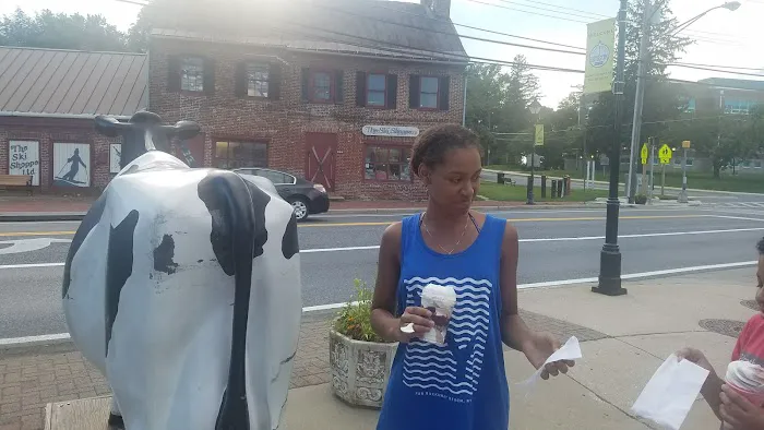 The Cow Picture 7