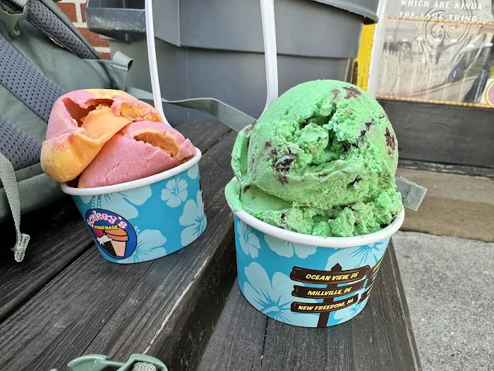 Bonkey's Ice Cream & Snoballs Picture 4