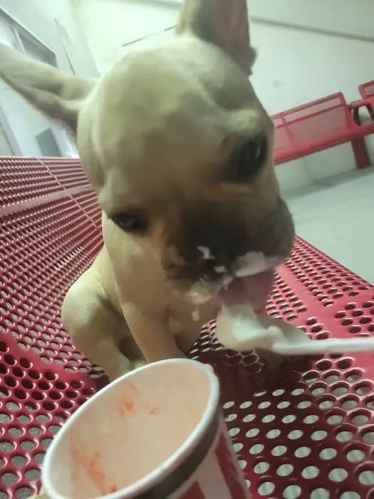 Baskin-Robbins Picture 2