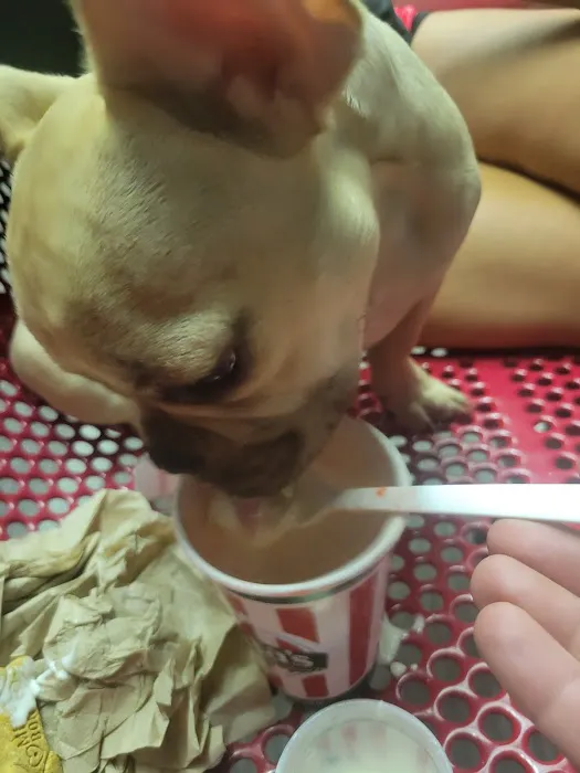 Baskin-Robbins Picture 7