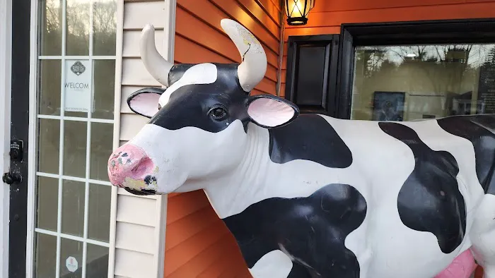 Frozen Cow Soft Serve Ice Cream and More Picture 1