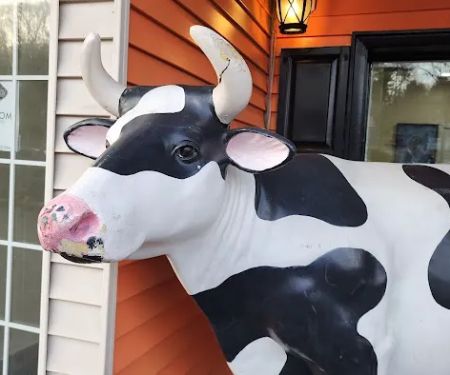 Frozen Cow Soft Serve Ice Cream and More