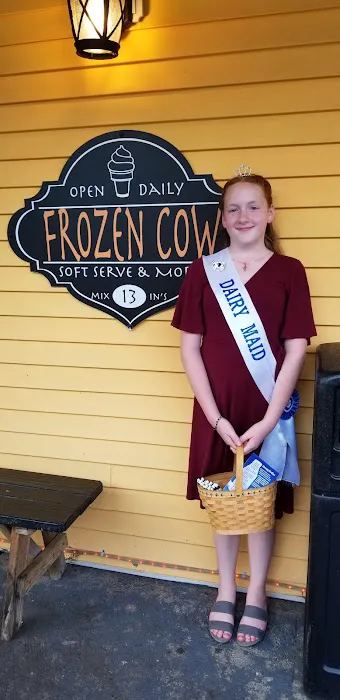 Frozen Cow Soft Serve Ice Cream and More Picture 2