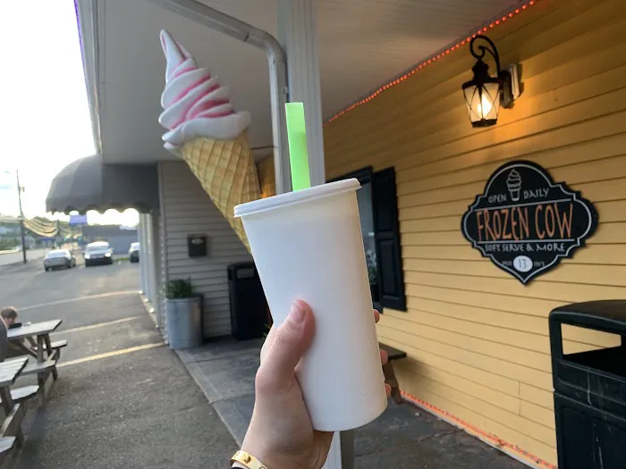 Frozen Cow Soft Serve Ice Cream and More Picture 4