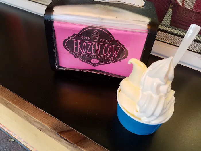 Frozen Cow Soft Serve Ice Cream and More Picture 10