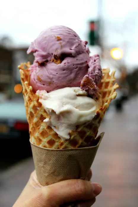 Dippity Do Dahs Homemade Ice Cream Picture 1