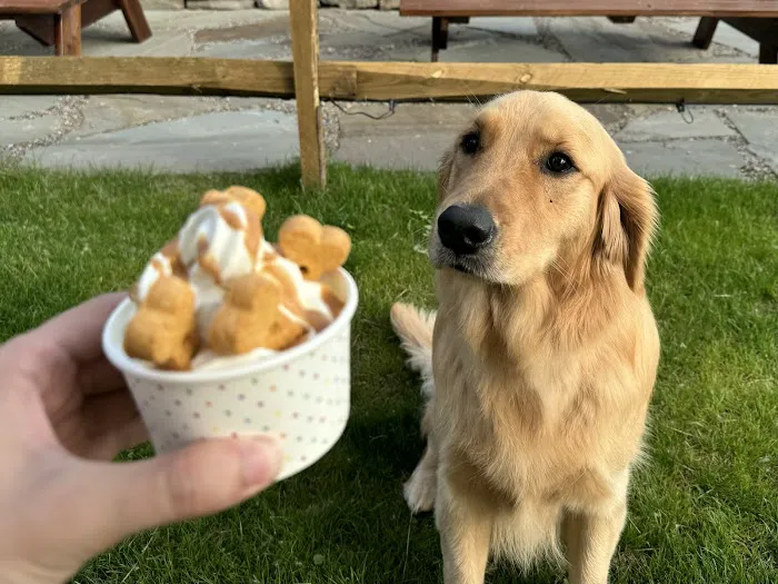 Weird Walter's Handcrafted Ice Cream Picture 6