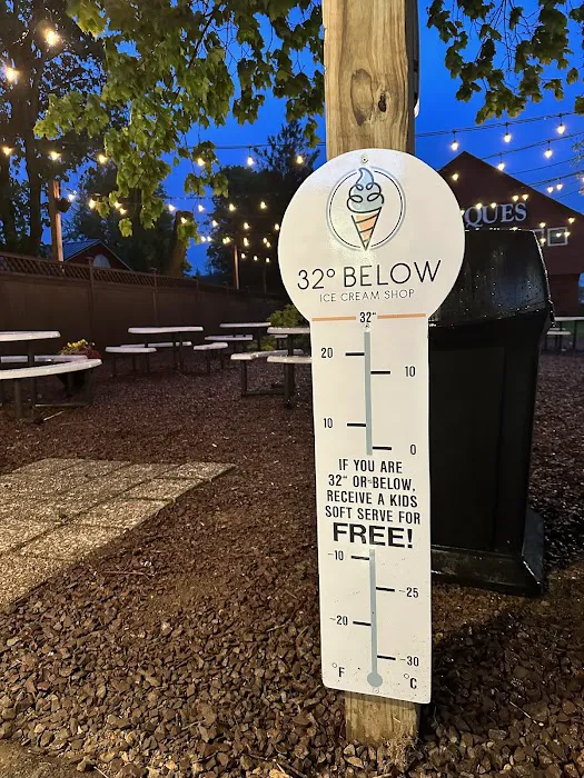32 Below Ice Cream Shop Picture 6