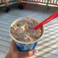 Dairy Queen ico