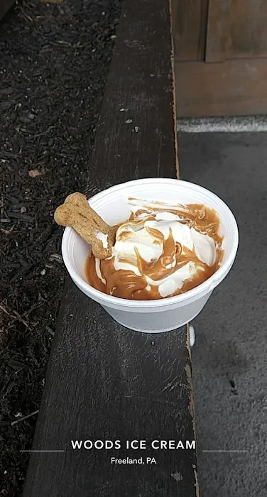 Woods Ice Cream Picture 1