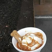 Woods Ice Cream ico