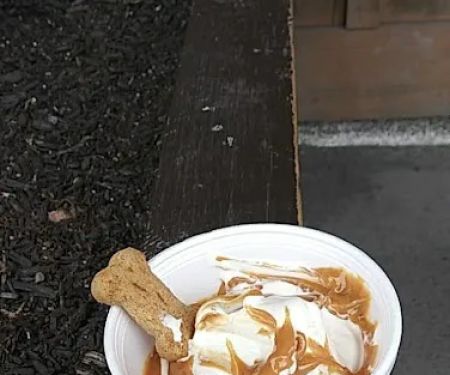 Woods Ice Cream