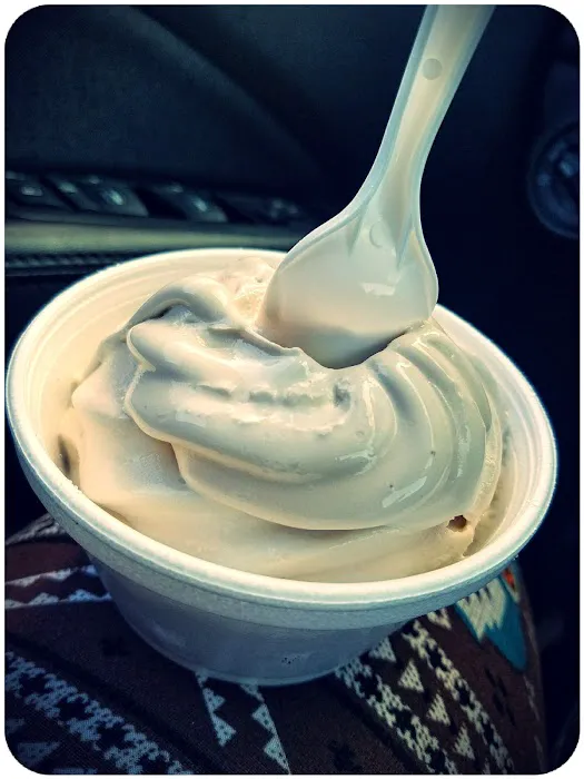 Woods Ice Cream Picture 4
