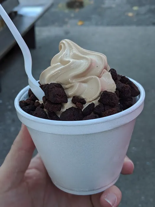 Woods Ice Cream Picture 3