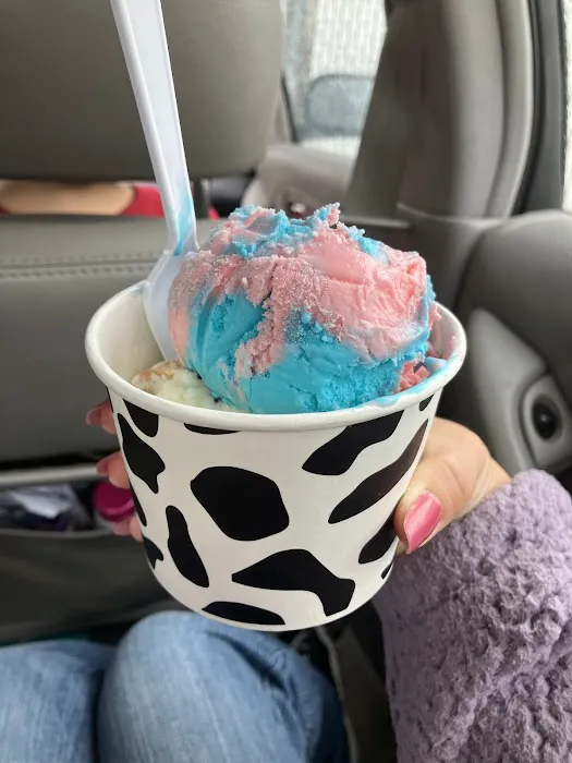 Josie’s Frozen Custard & Italian Ice Picture 8