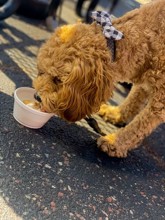 Josie’s Frozen Custard & Italian Ice Picture 10