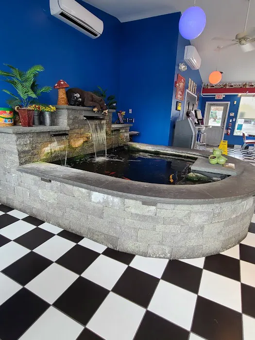 Mr. Coolee's Ice Cream Shop Picture 10