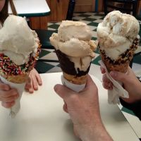 Cayuga Lake Creamery ico
