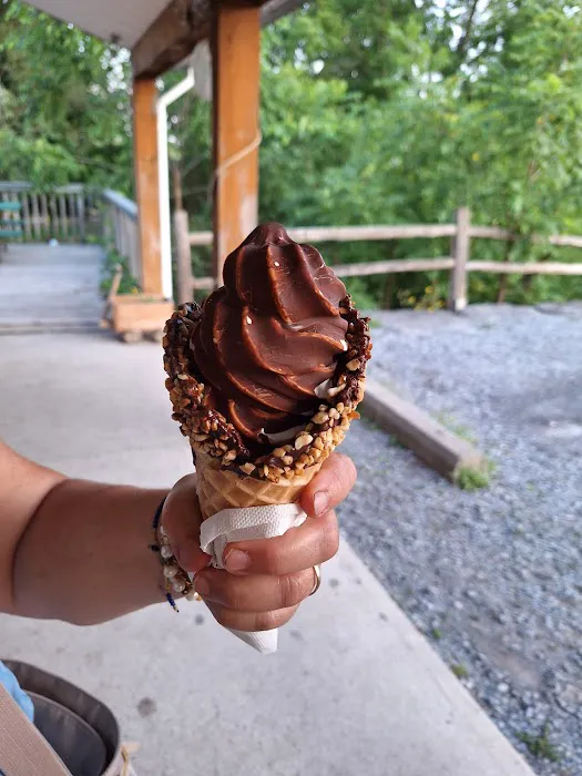 Cayuga Lake Creamery Picture 4