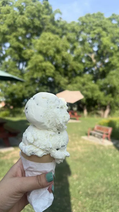Trimmers Ice Cream & Coffee Shed Picture 4