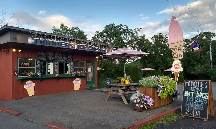 Trimmers Ice Cream & Coffee Shed Picture 9
