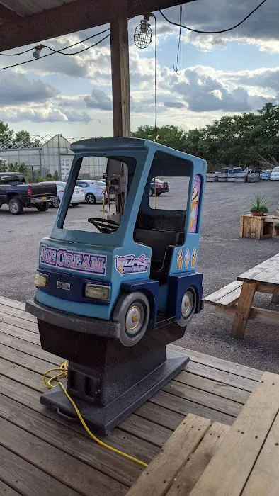 Turk’s Ice Cream & Grill Picture 4