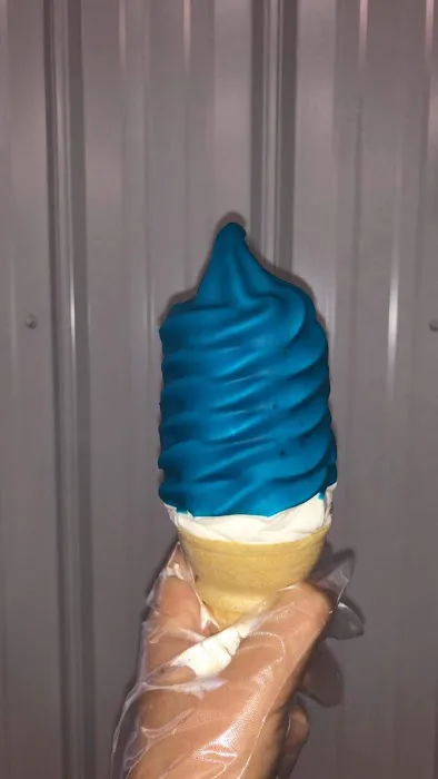 Pulcini’s Ice Cream Picture 10