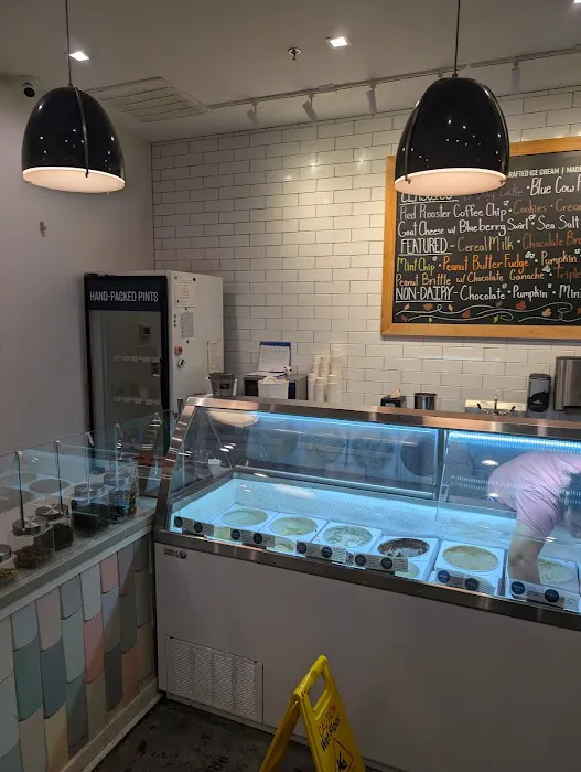 Blue Cow Ice Cream Co. Picture 1
