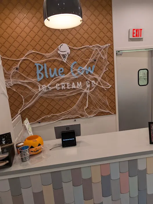 Blue Cow Ice Cream Co. Picture 2